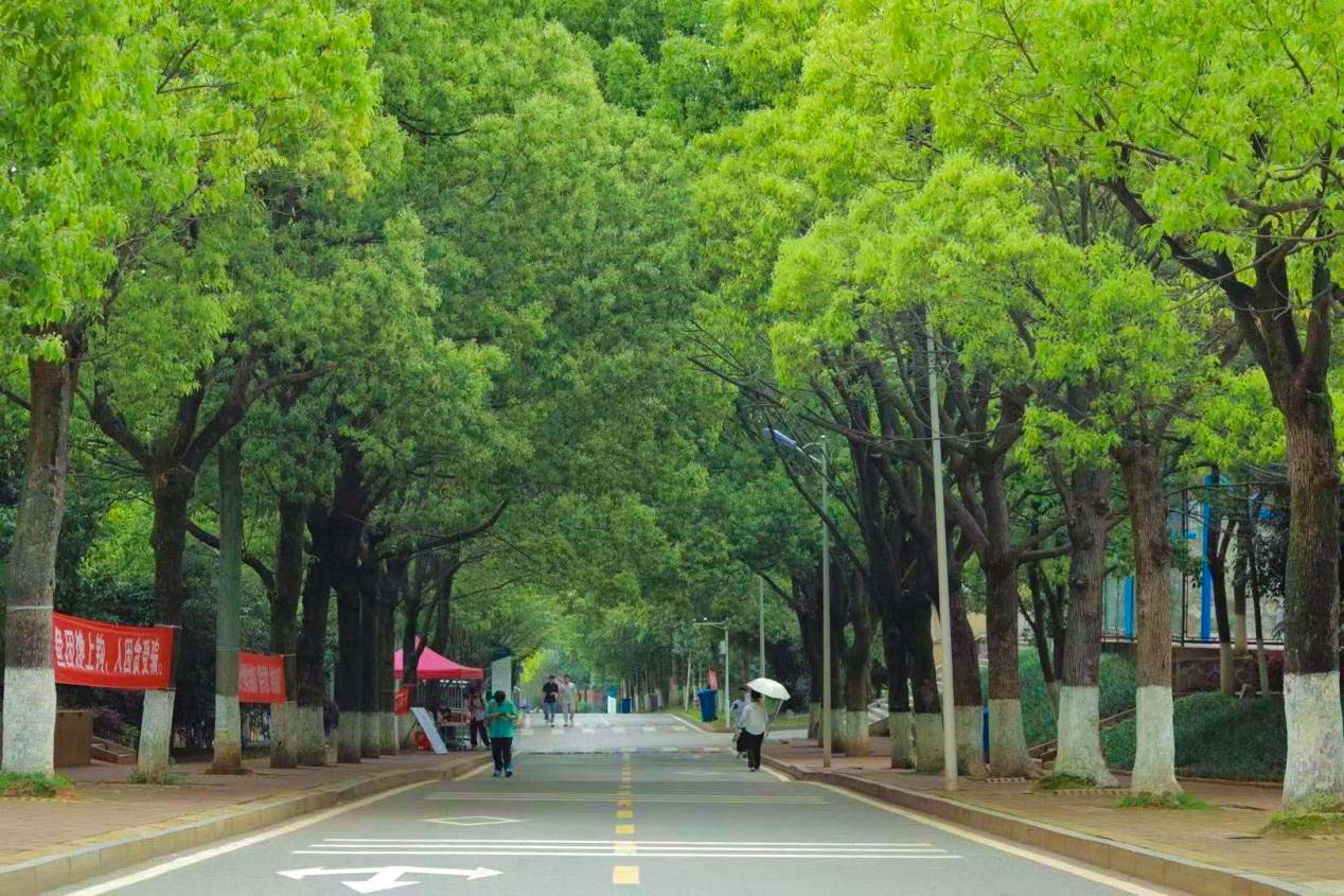 長興路1.jpg